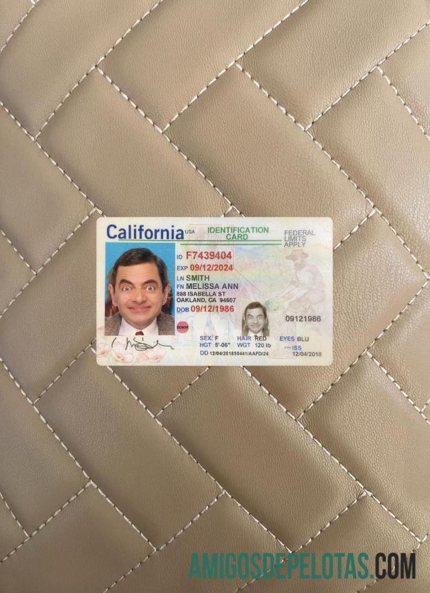 USA California ID Card olhar de foto frente modelo